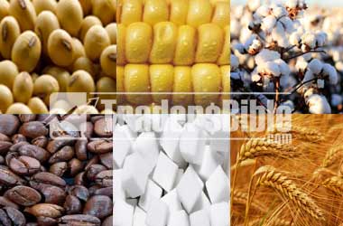 Agricultural Commodity Trading Explained