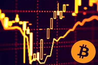 New Bitcoin F!   orex Trading Opportunities - 