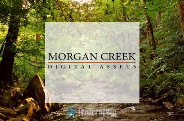 Morgan Creek Digital Assets