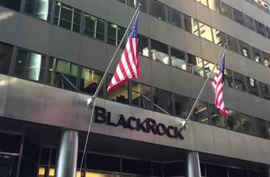 BlackRock Targets Eco Friendly Companies For Major Investments