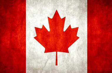 Canadian Investors Want Regulatory Measures For The Market